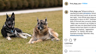 Major Biden Is a Bad Dog, But Try Telling That to His Loyal Stans